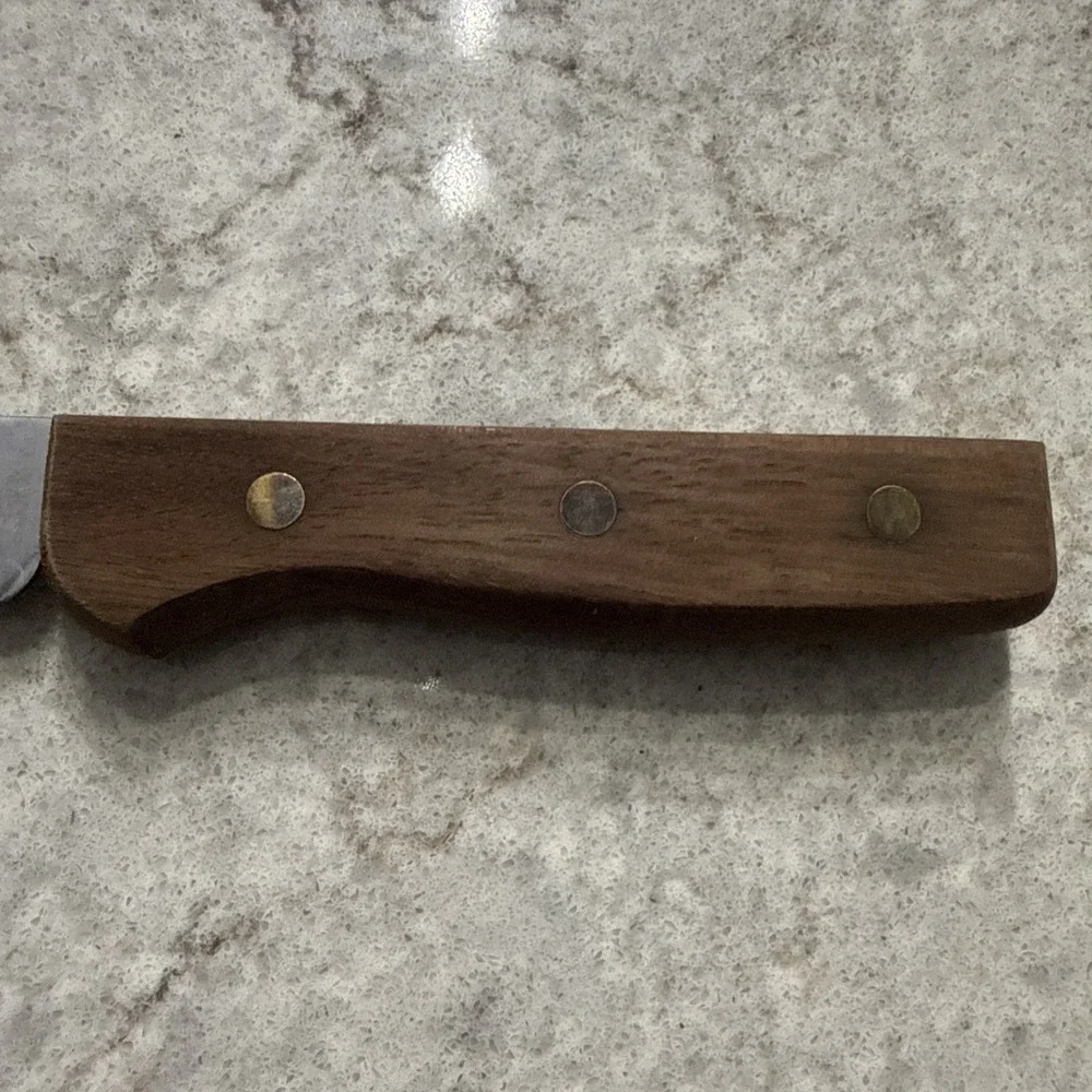 Vintage Pierre Santini Stainless Steel Serrated Carving Knife Wood Handle Japan